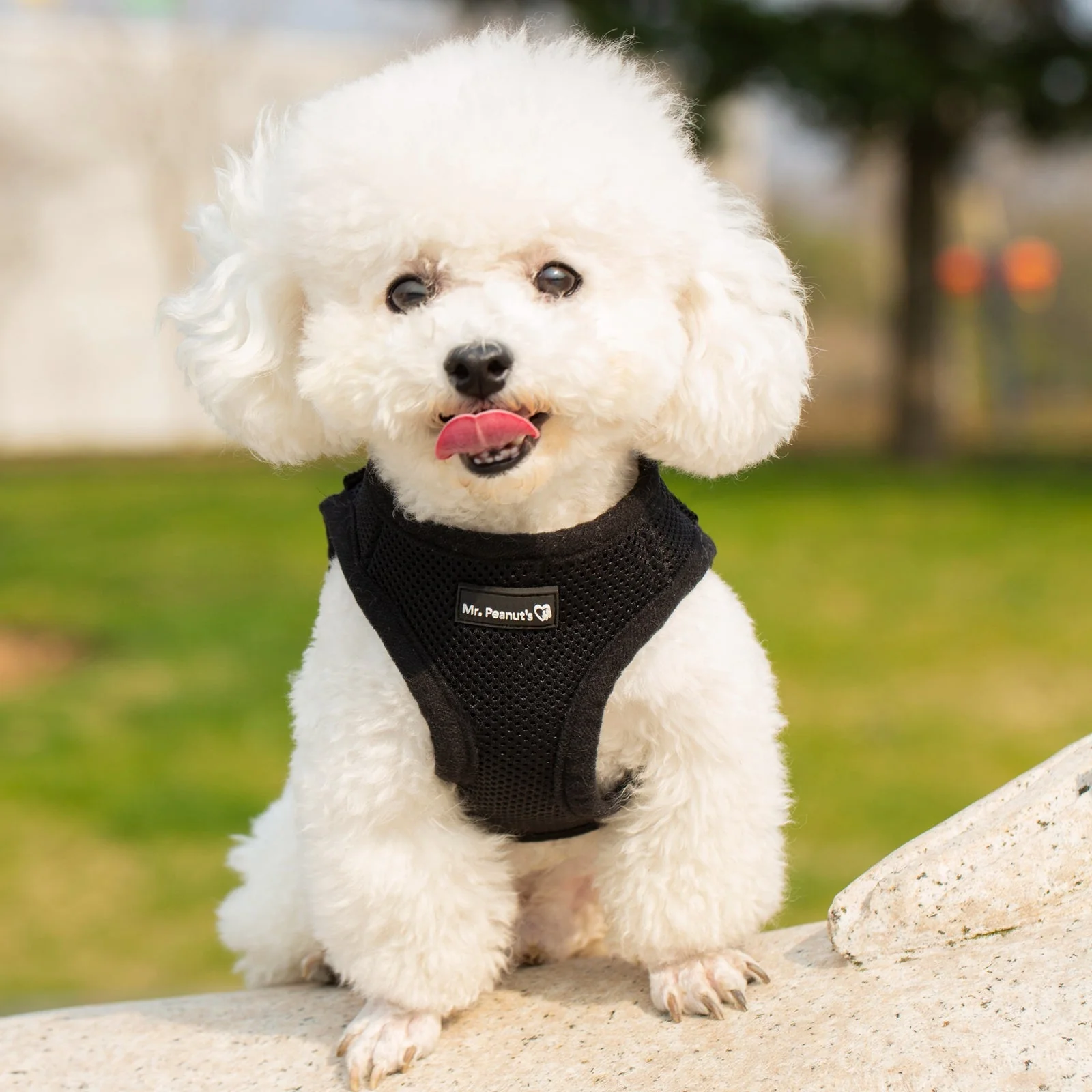 Product image 46